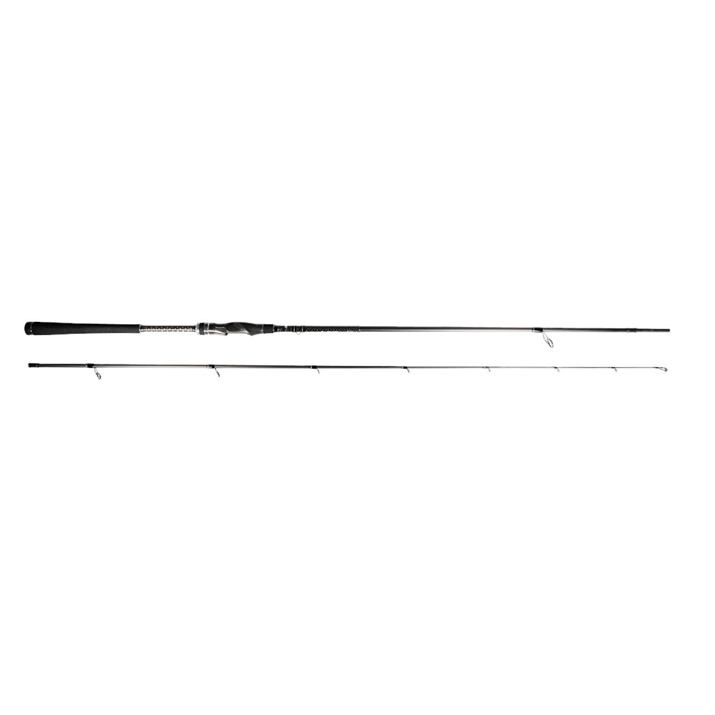 CANNE Predator IV 2,52M 10-42G